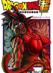 Dragon Ball Super Cover