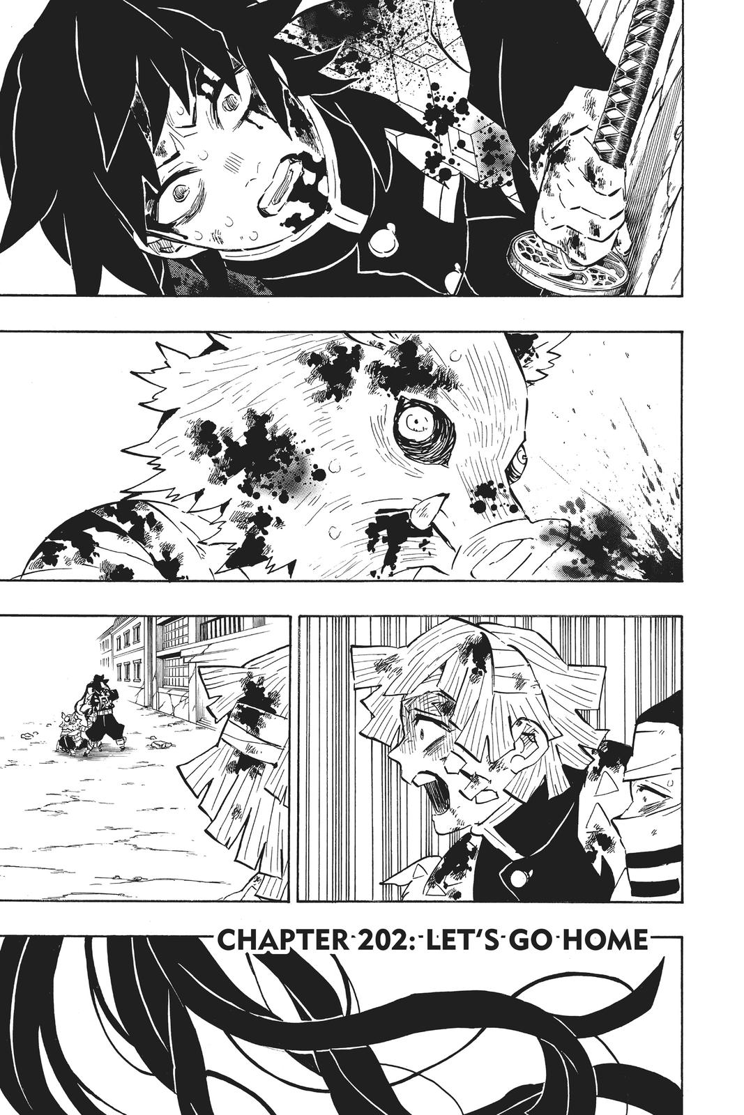 Demon Slayer: Kimetsu no Yaiba Chapter 203 - Kimetsu no Yaiba Manga Online